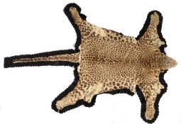 Female Leopard skin rug, with a stuffed head, glass eyes and claws still attached, set on a black