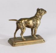 Albert Dubucand gilt bronze depicting a bulldog, stamped to the rectangular plinth base, 10.5cm