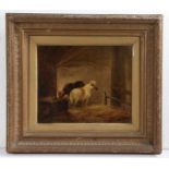 English School (19th Century) Horses in a Stable, indistinctly signed and dated (lower left), oil on