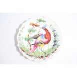 A 19th century Chelsea plate, with a colourful exotic bird to the center with a floral background,