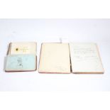 Two Edwardian albums, with hand written poems, notes and illustrations, both leather bound (2)