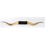 Very large pair of mounted buffalo horns, approx. 204cm long