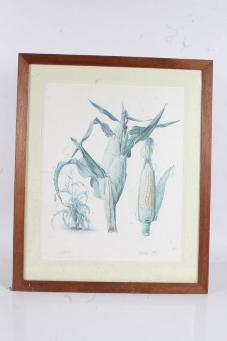 After Graham Rust (b.1942) Four colour botanical prints, pencil signed, ltd. edition 11/475, blind