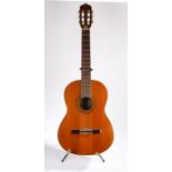 Angelica Classical Guitar supplied by Boosey And Hawkes with soft case and metal stand.