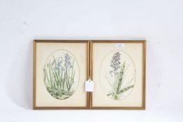 Bluebells Two etchings with hand-colouring, 1974, on wove, 19.5 x 140mm (7 5/8 x 5 1/2in)(I)(2)