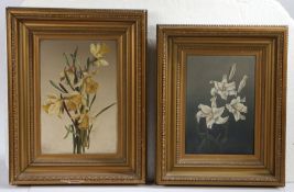 (19th Century) lilies and daffodils  a pair, one inscribed 'ERB' (verso) 36.5 x 24.5cm (14 3/4 x 9