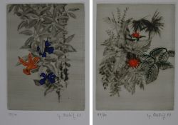 Ballif, Yannick (1927-2009) - zwei Pflanzendarstellungen, 1983, Radierung, teils koloriert, jeweils