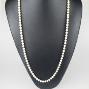 Perlenkette mit Goldschließe - champagnerfarbene Perlen mit schönem Lüster in Einzelknotung, Dm.ca.