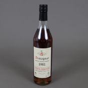 Armagnac - 1981 NISMES-DELCLOU, abgefüllt am 17.10.2005, eingetragene Nummer 8121005, 0,7 Liter