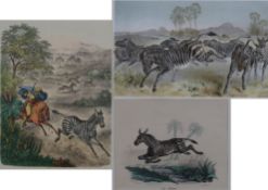 Drei Grafiken mit Zebramotiv - 19.Jh., 1x Zebrajagd, um 1860/70, Original-Holzstich, altkoloriert, 