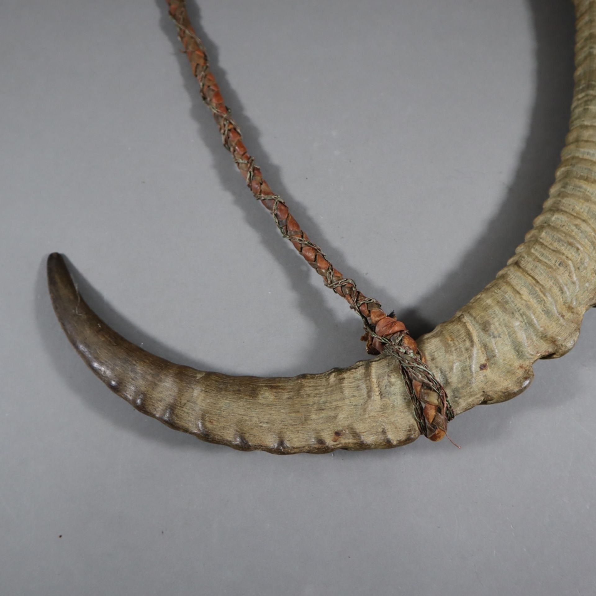 Krummdolch mit Hornscheide - afrikanisch, gekrümmte Klinge mit gravierter Ornamentik, Holzgriff lei - Image 6 of 7