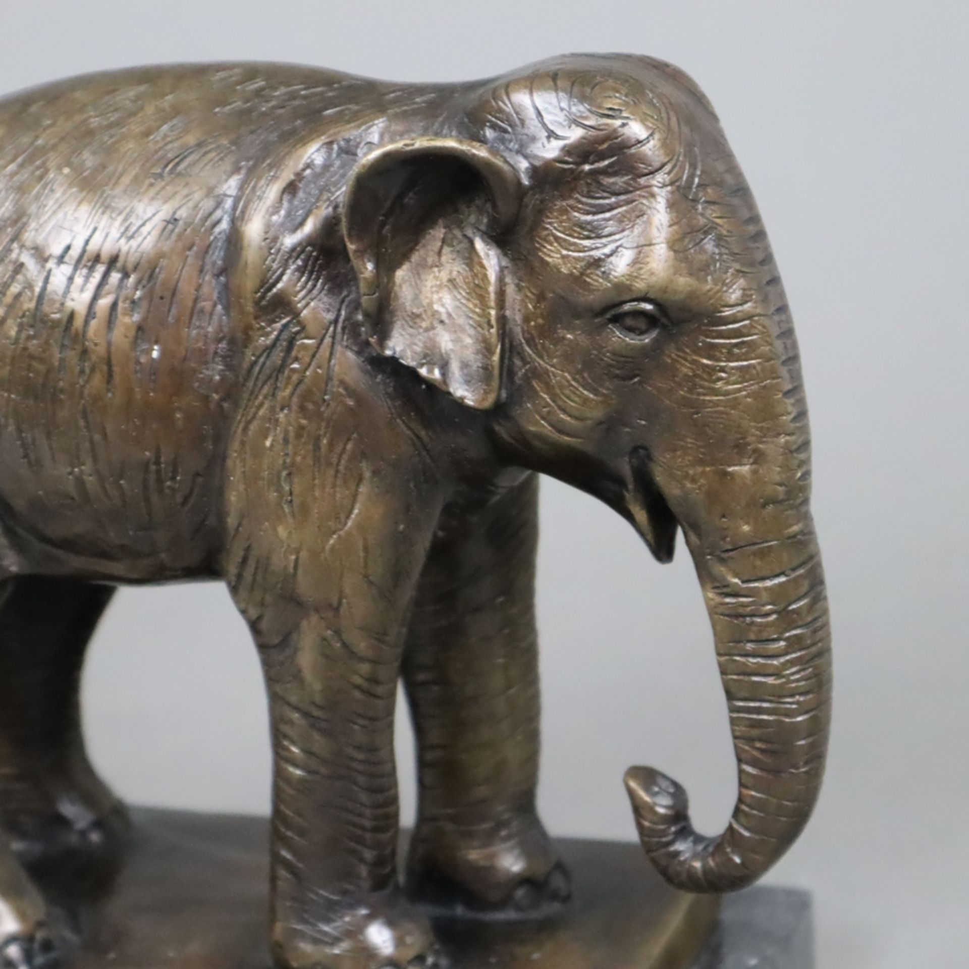 Tierfigur "Stehender Elefant" - Bronze, braun patiniert, naturalistische Darstellung auf rechteckig - Image 5 of 6