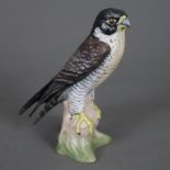 Vogelfigur "Wanderfalke" - Goebel, Biskuitporzellan, polychrom bemalt, auf Baumstumpfsockel sitzend