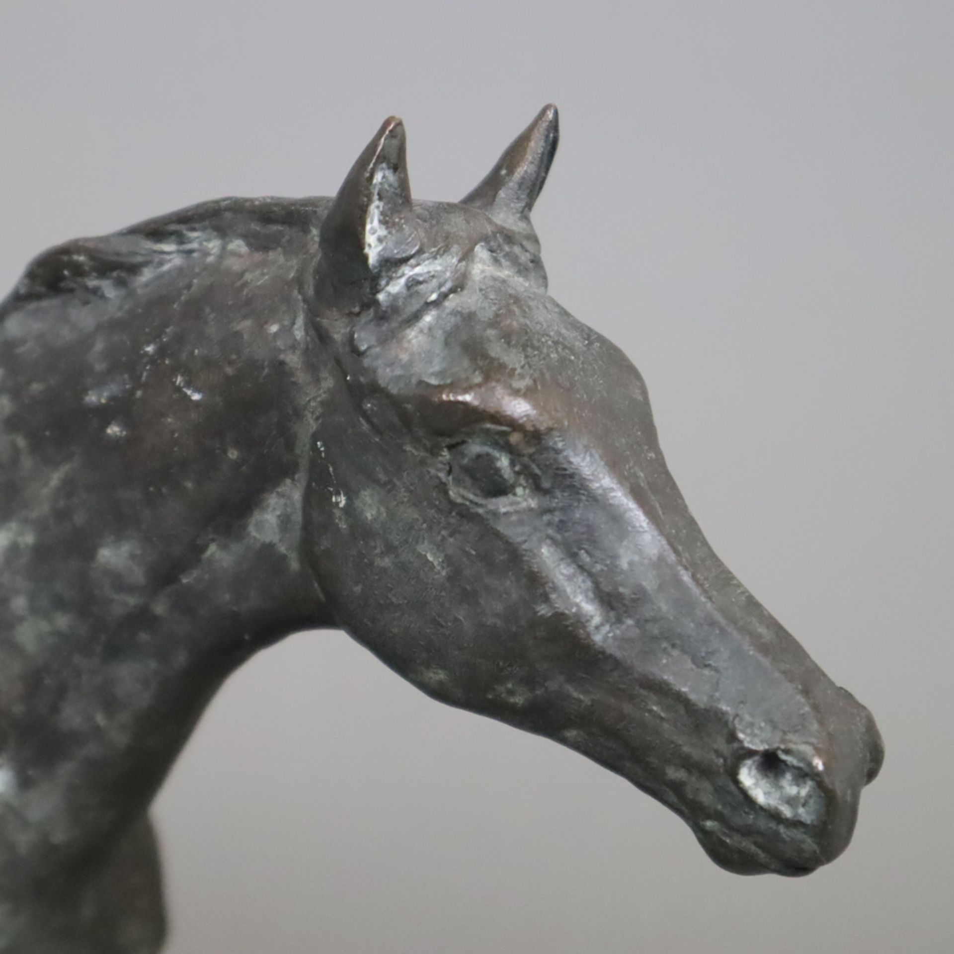 Stralendorff-Eilers, Friederun von (1916 Gamehl -2011 Preetz) - "Galoppierendes Pferd", Bronze, dun - Image 2 of 8