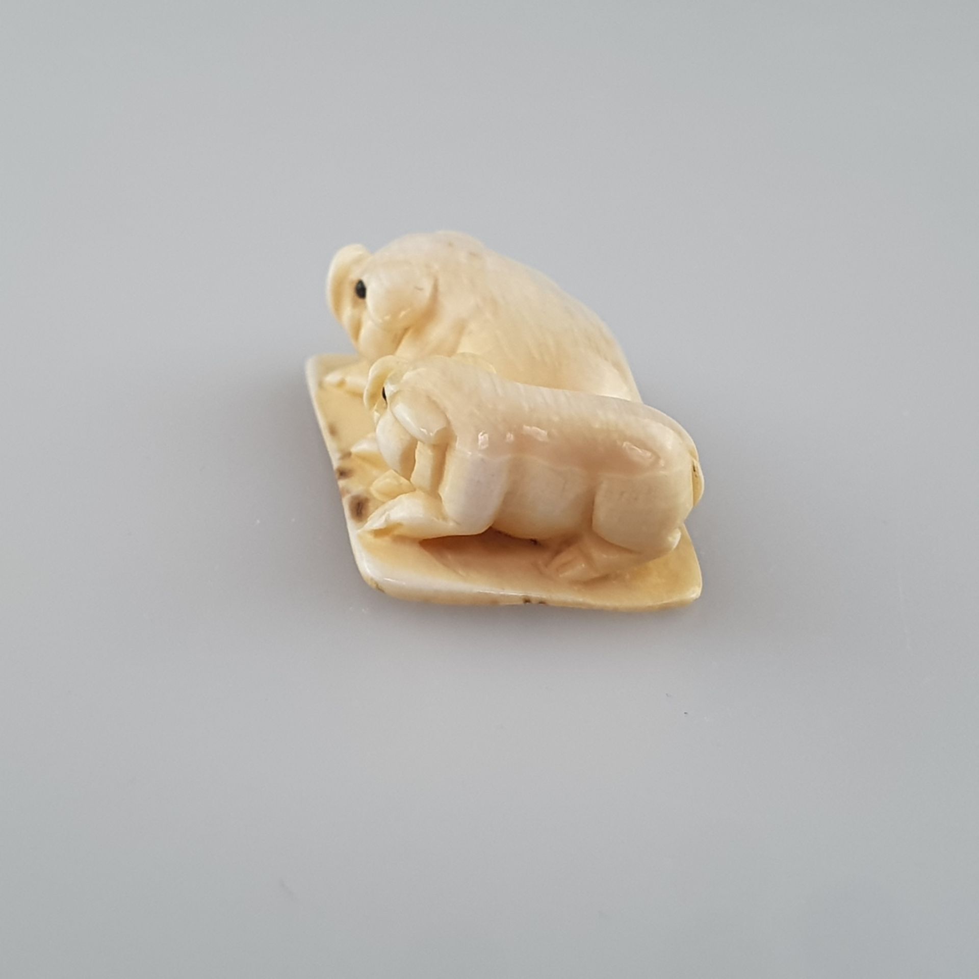 Netsuke - Zwei Schweinchen, Mammutbein, geschnitzt, dunkel eingelegte Augen, signiert, Himotos - Image 5 of 7