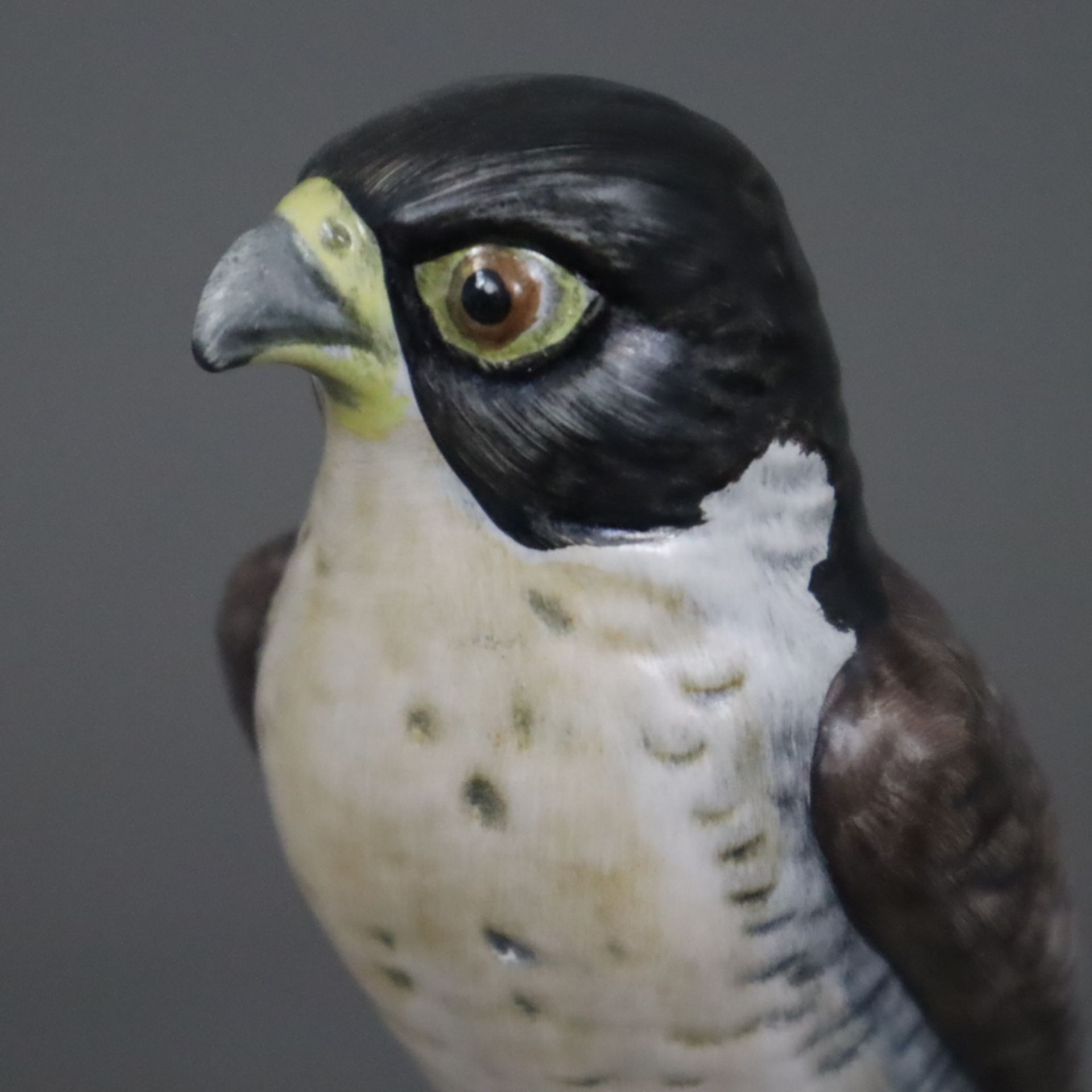 Vogelfigur "Wanderfalke" - Goebel, Biskuitporzellan, polychrom bemalt, auf Baumstumpfsockel sitzend - Image 3 of 7