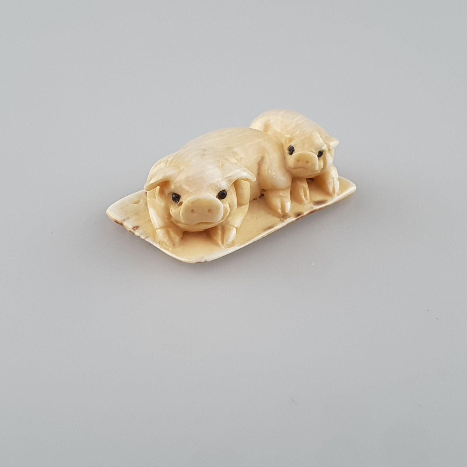 Netsuke - Zwei Schweinchen, Mammutbein, geschnitzt, dunkel eingelegte Augen, signiert, Himotos