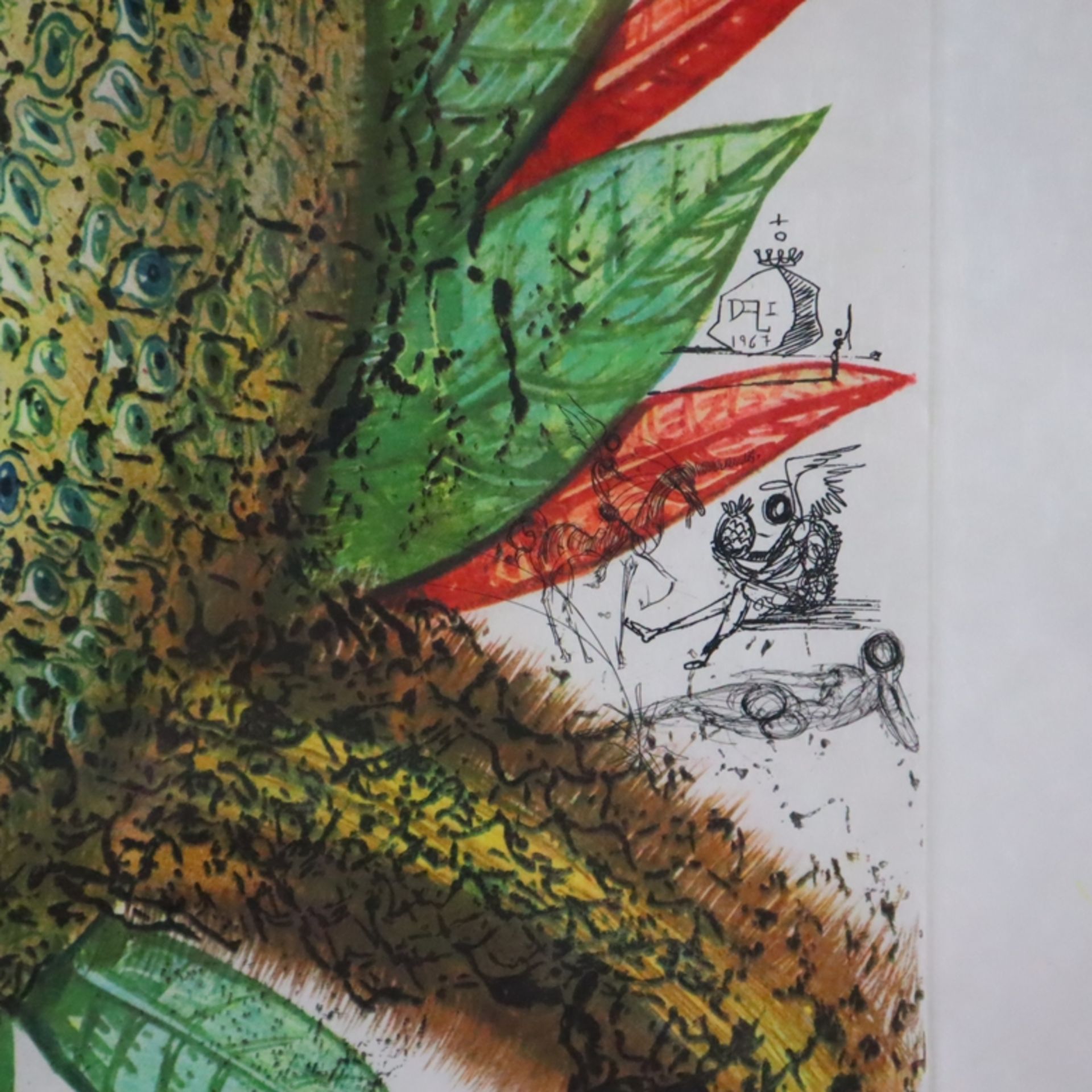 Dali, Salvador (1904 Figueras -1989 ebenda) - "Ananas", 1967, Kaltnadelradierung auf Lithografie, i - Image 5 of 8