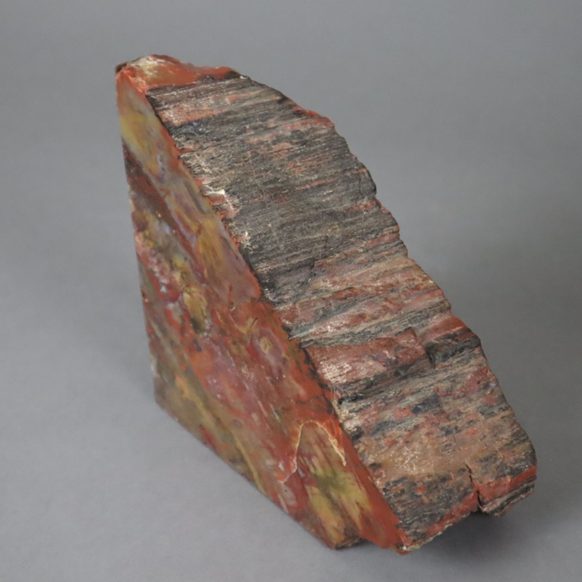 Ein Paar Buchstützen aus versteinertem Holz - Arizona, USA, ca. 160 Millionen Jahre alt, teils glat - Bild 5 aus 7
