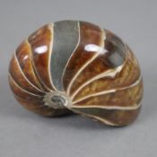 Ammonit - geschliffen, poliert, schöne Maserung, minimale Unebenheiten, ca.7,2 x 5 cm, ca..219 g