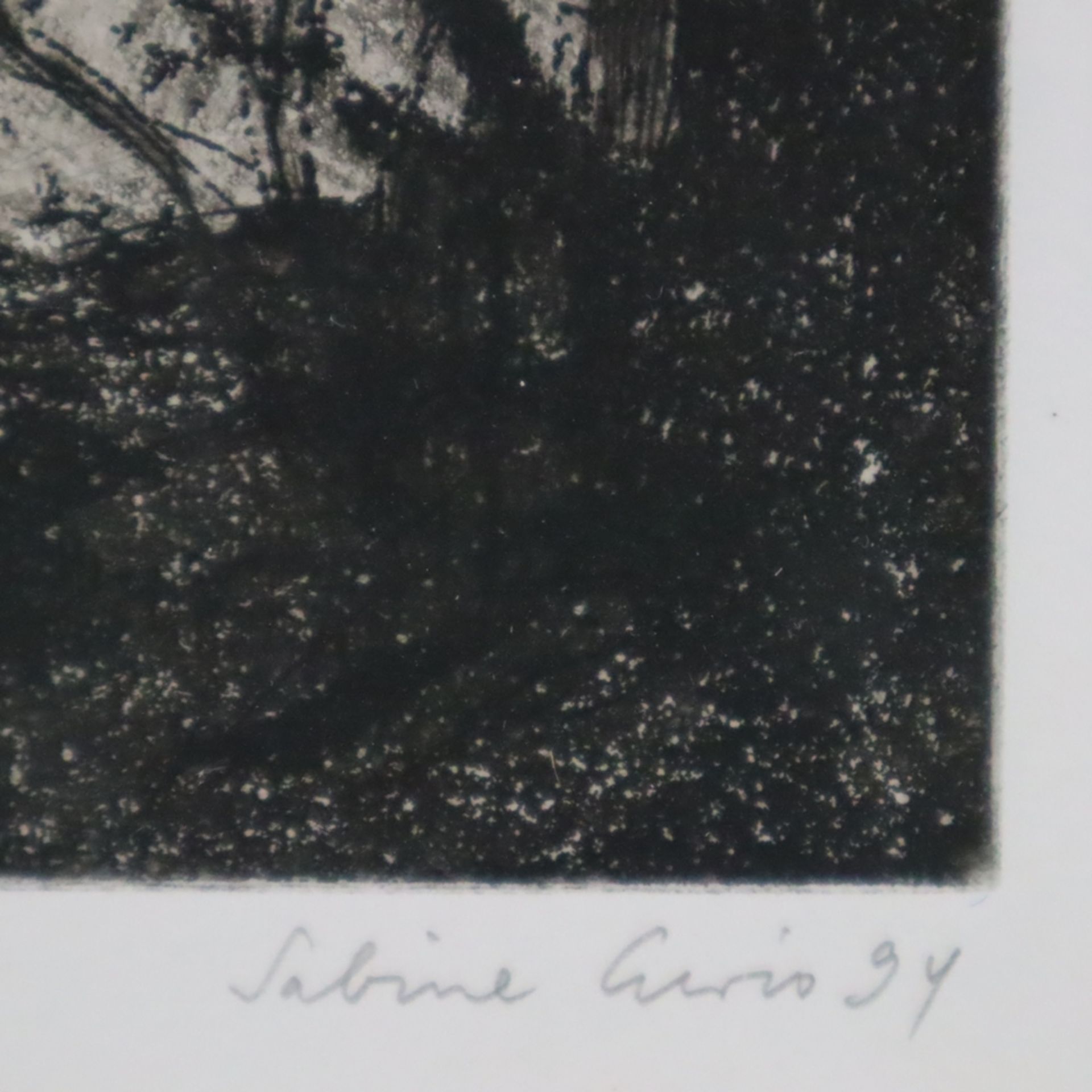 Curio, Sabine (*1950 Ahlbeck) - "Am Oderhaff", 1994, Radierung, unter der Darstellung in Blei signi - Image 4 of 4