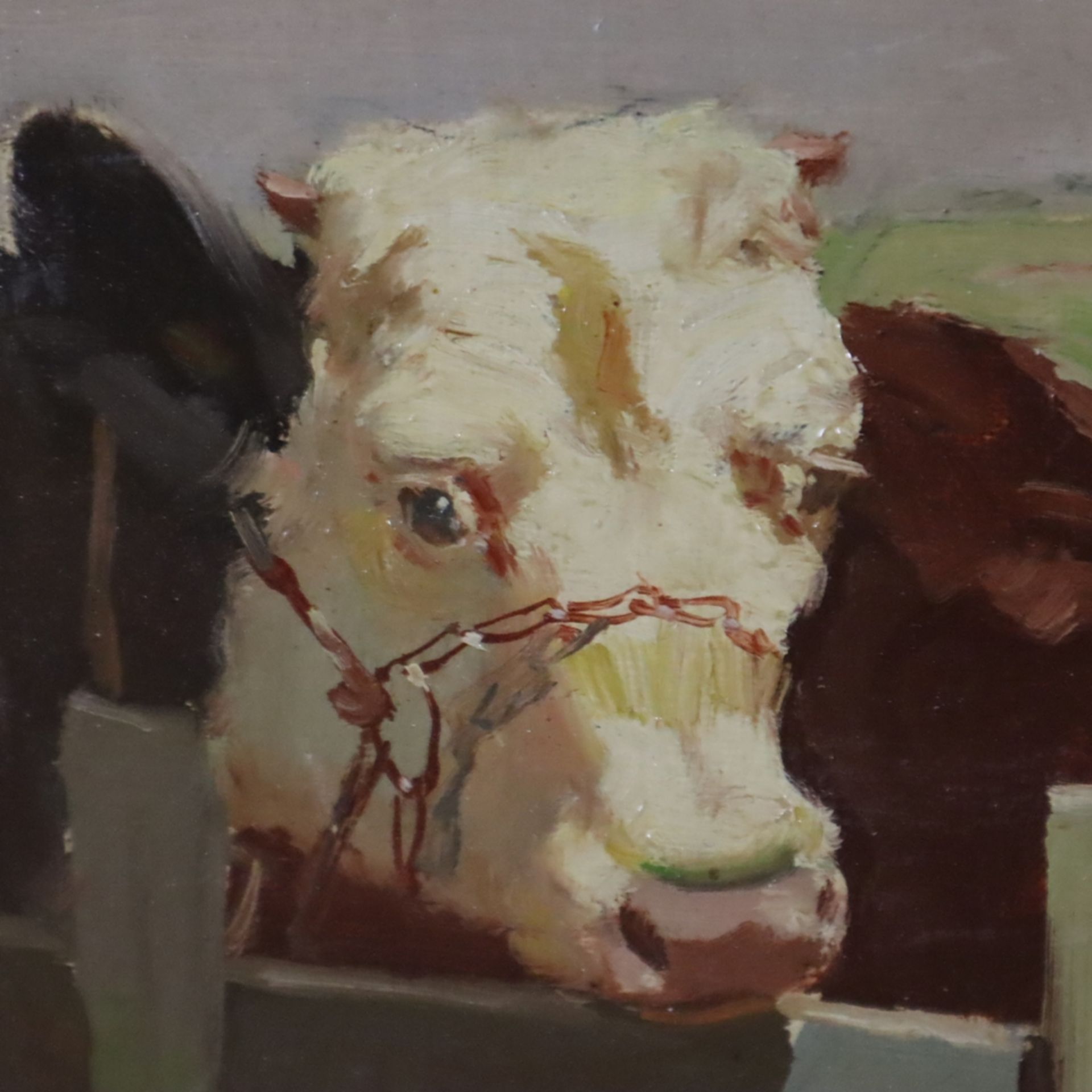 Curtis, Mark Osman (auch Aage Wang, 1879-1959) - Zwei Kühe am Zaun, Öl auf Leinwand, unten rechts s - Bild 5 aus 7