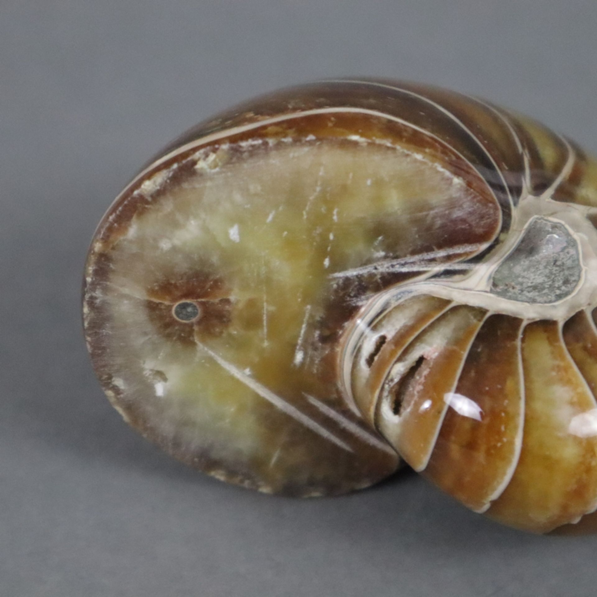 Ammonit - geschliffen, poliert, schöne Maserung, minimale Unebenheiten, ca.6,5 x 5,3 cm, ca.193 g - Bild 4 aus 4