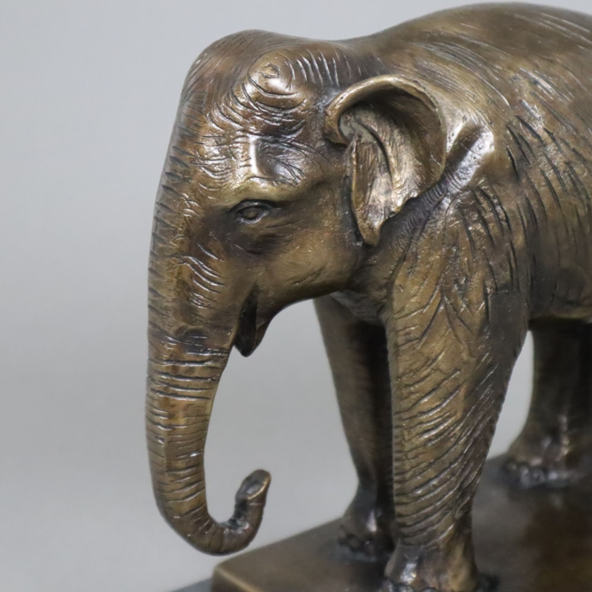 Tierfigur "Stehender Elefant" - Bronze, braun patiniert, naturalistische Darstellung auf rechteckig - Bild 2 aus 6