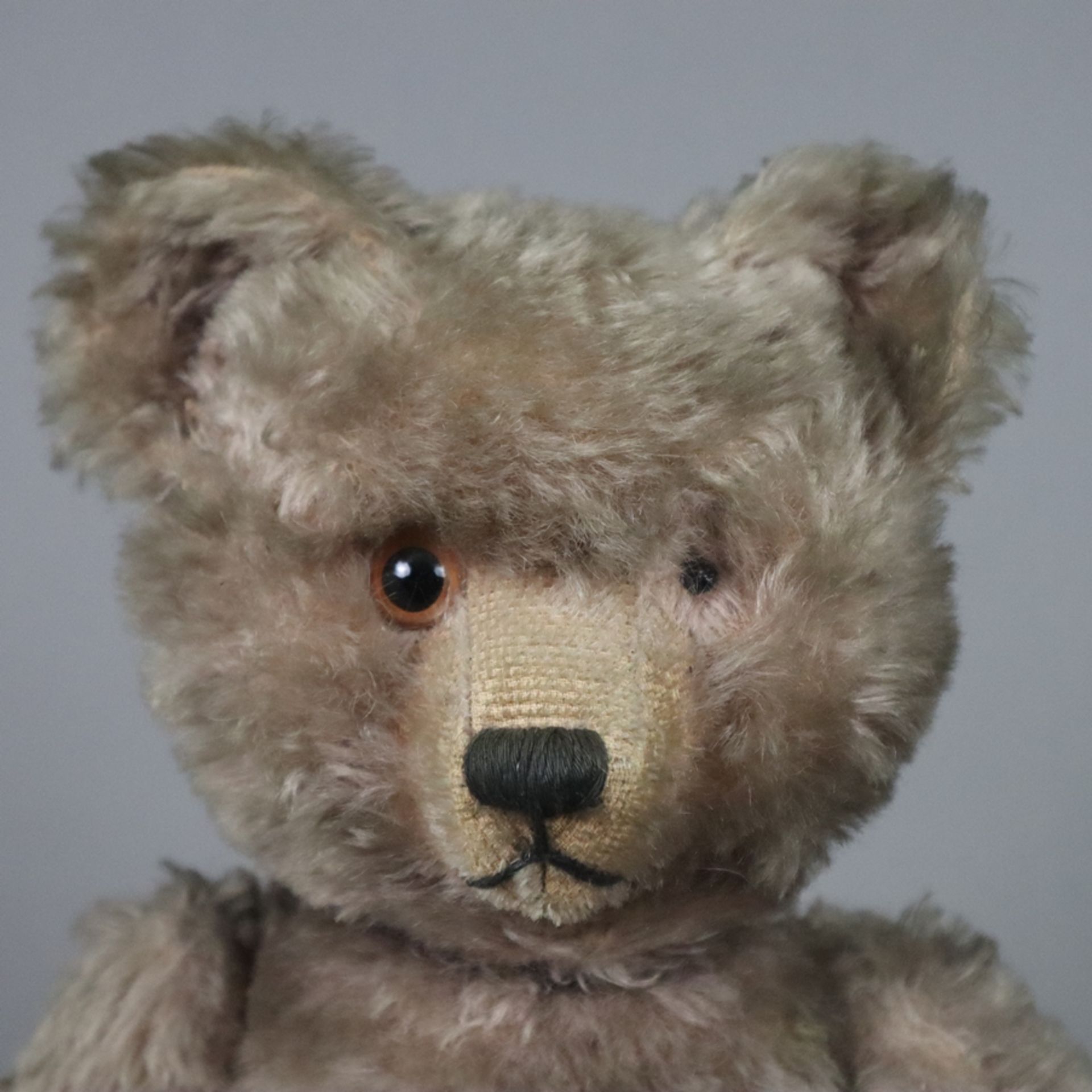 Teddy "Tricky" - Schuco, um 1950, Kunststoff-Brustschild mit Schleife, made in US Zone, Mohair, bew - Bild 2 aus 8