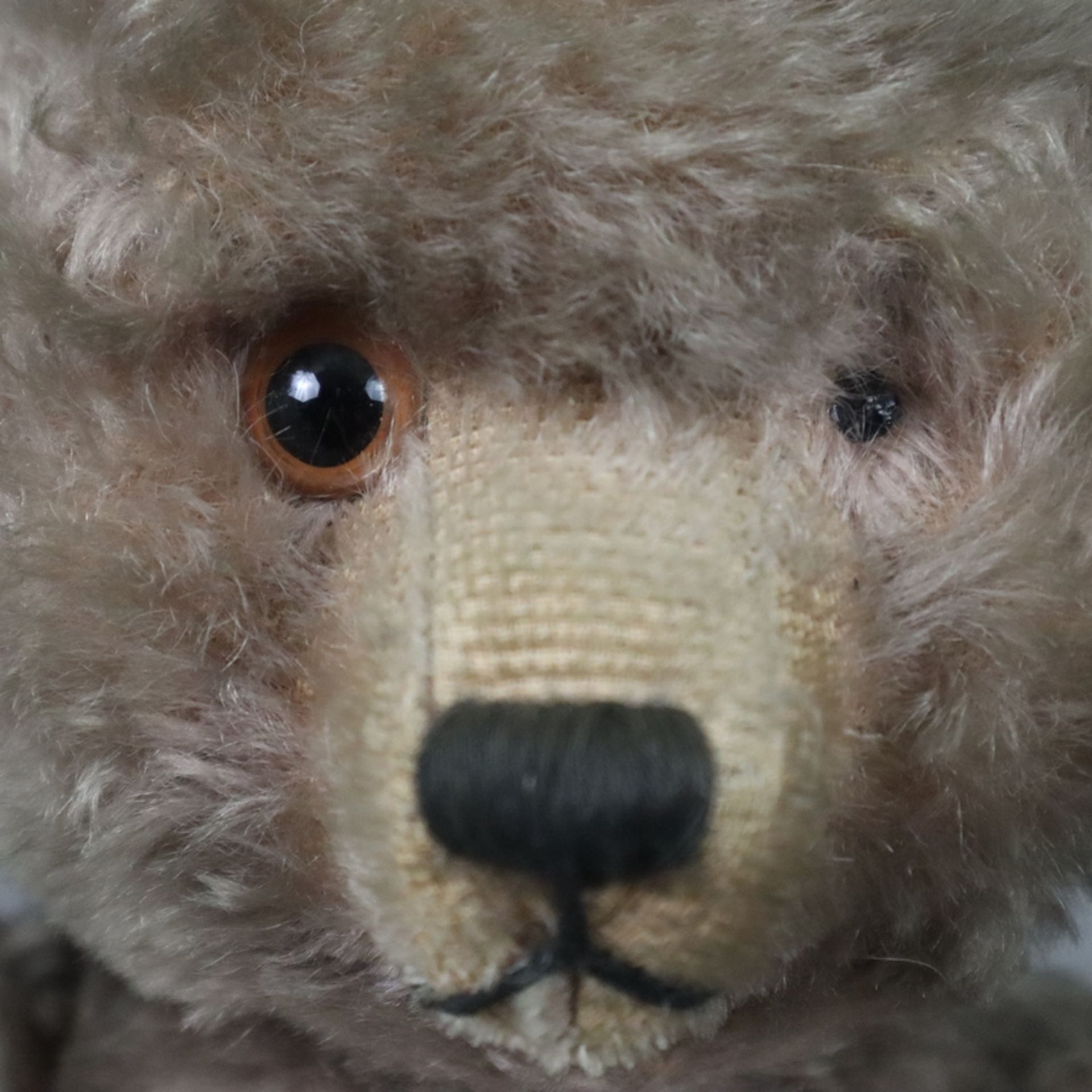 Teddy "Tricky" - Schuco, um 1950, Kunststoff-Brustschild mit Schleife, made in US Zone, Mohair, bew - Bild 3 aus 8