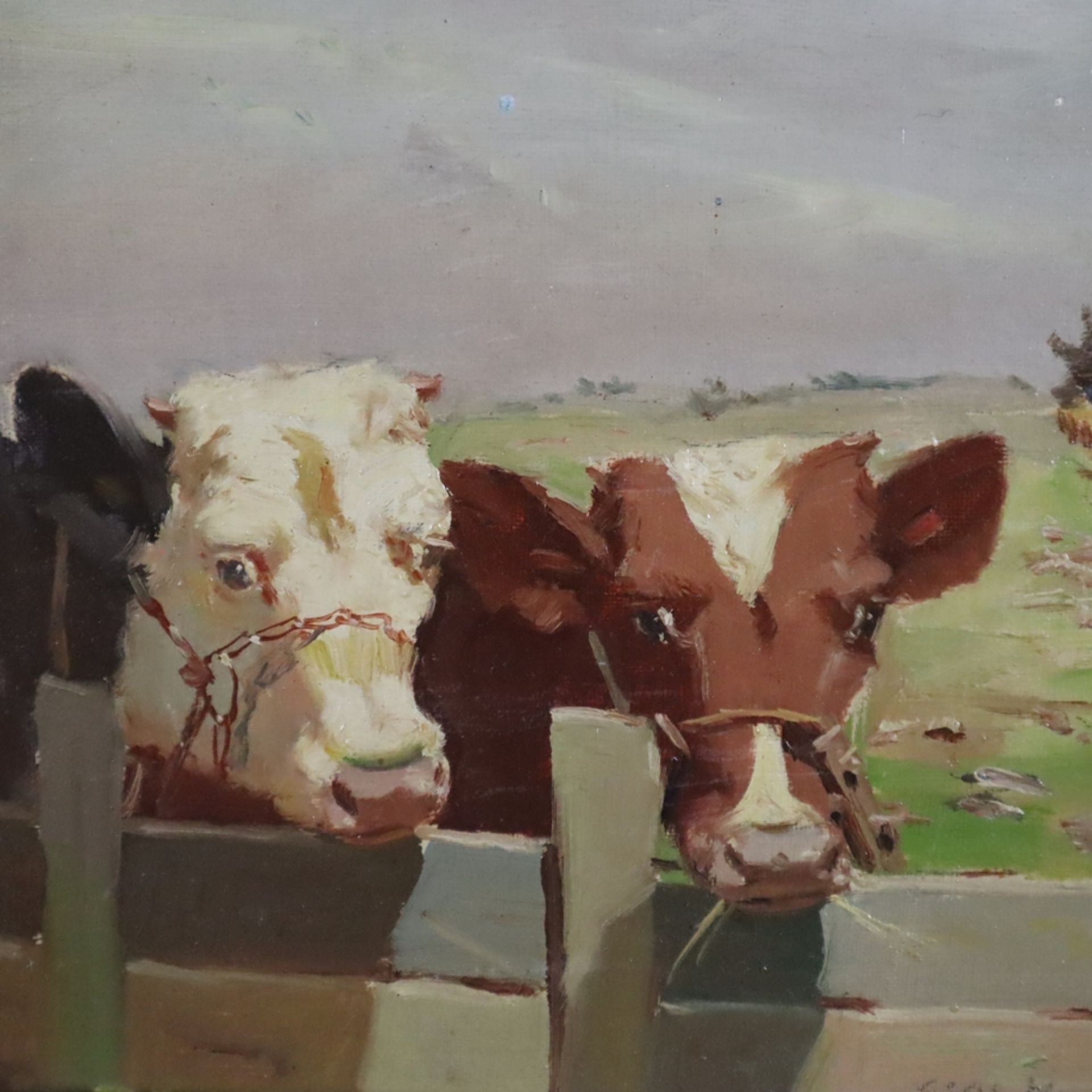 Curtis, Mark Osman (auch Aage Wang, 1879-1959) - Zwei Kühe am Zaun, Öl auf Leinwand, unten rechts s - Bild 3 aus 7