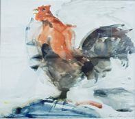 WATERCOLOUR ROOSTER CON CAMPBELL