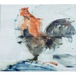 WATERCOLOUR ROOSTER CON CAMPBELL