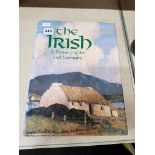 BOOK - THE IRISH ART