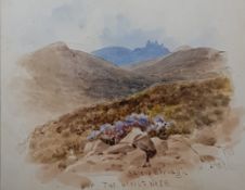 J W CAREY - WATERCOLOUR - SLIEVE BERNAGH OR THE DEVILS BITE 7'X6'