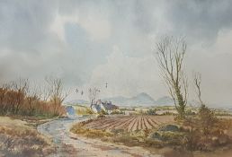 R.B HIGGINS - WATERCOLOUR - CO DOWN 22'X15'