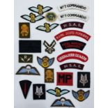 COLLECTION OF SHOULDER FLASHES/PACTHES INCLUDING SAS