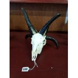 JACHOB RAM SKULL