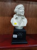 WWII ROYAL AIR FORCE BUST