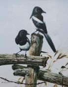 OLD PAINTING MAGPIES