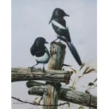 OLD PAINTING MAGPIES