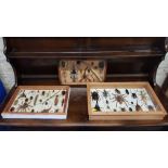 3 CASES OF TAXIDERMY INSECTS