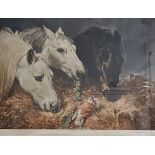 LARGE HORSE PRINT