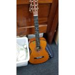 ACOUSTIC GUITAR AND CASE