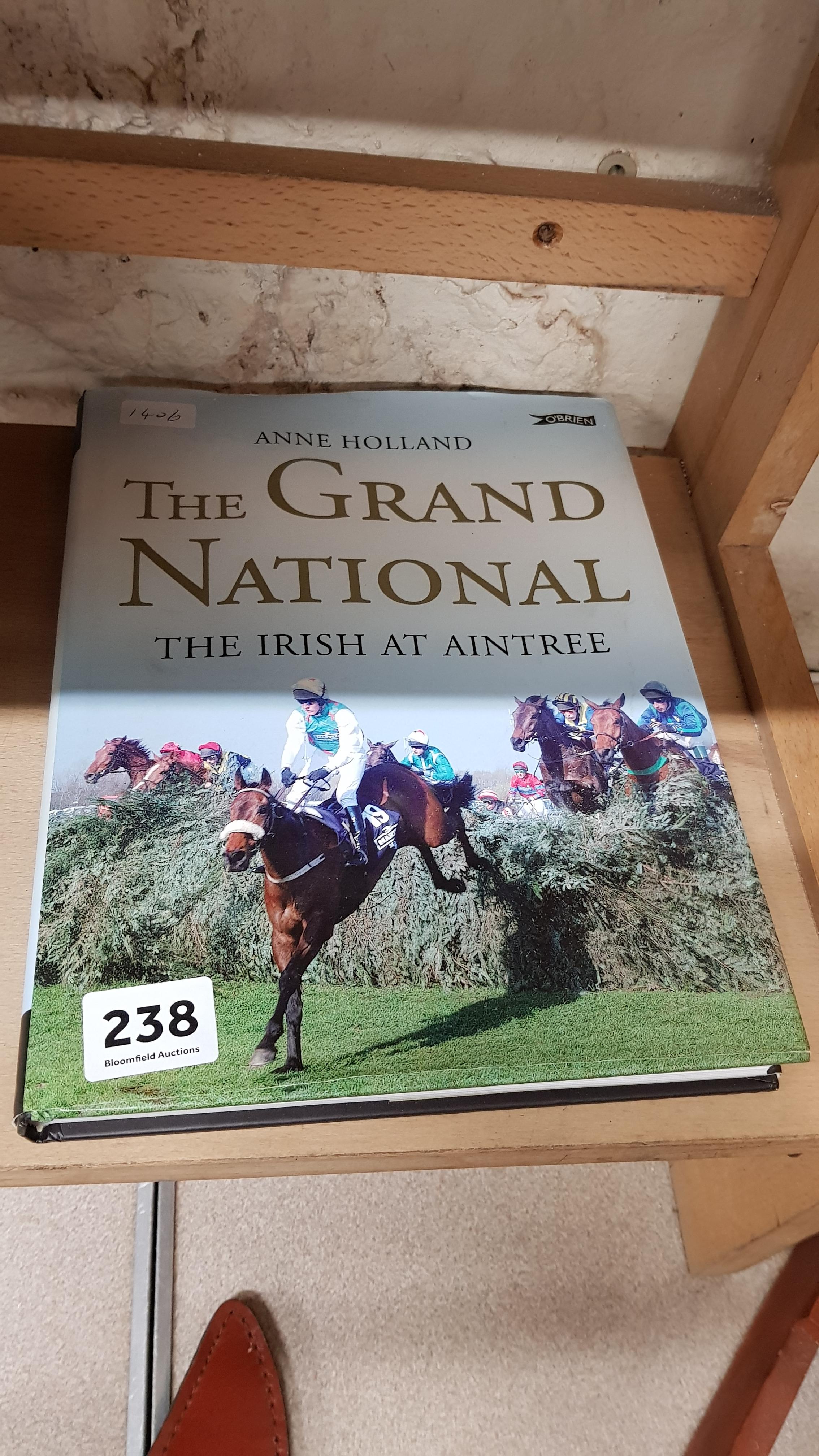 BOOK: IRISH AT AINTREE