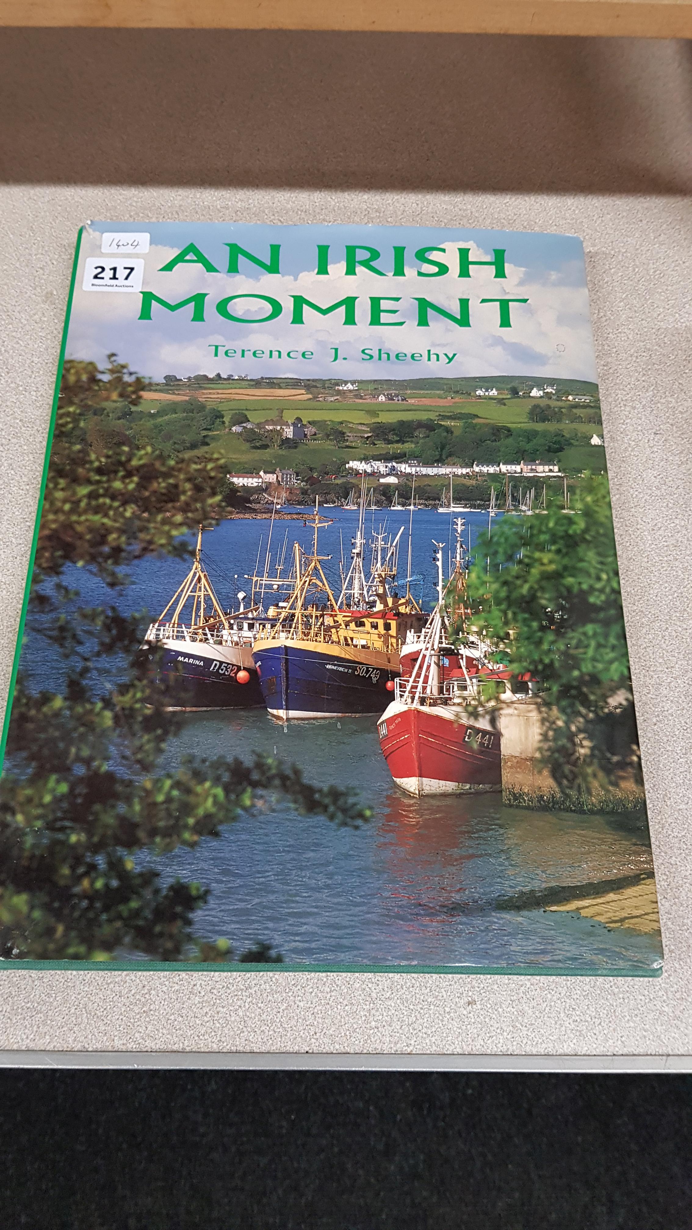 BOOK: AN IRISH MOMENT