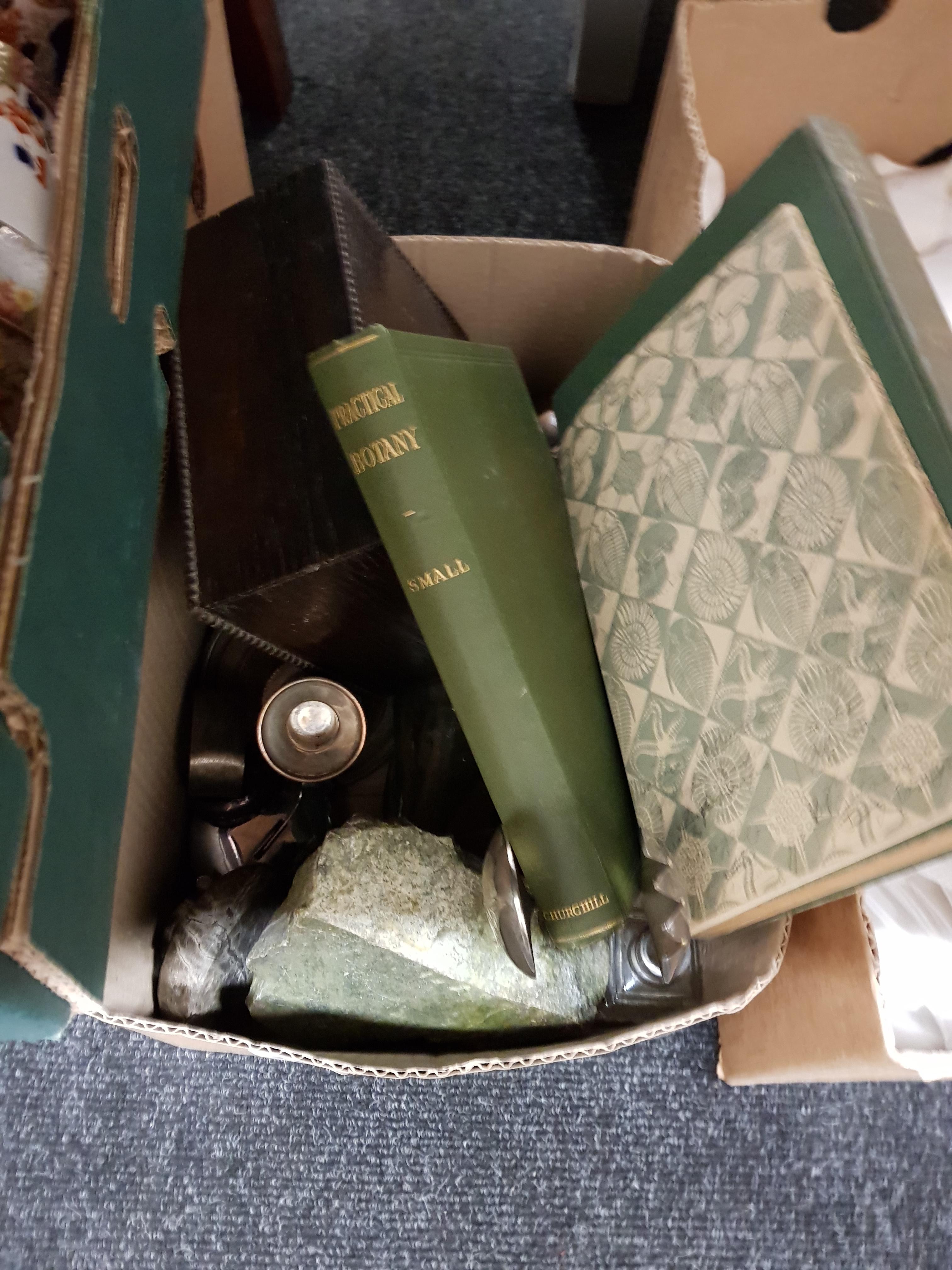 SMALL BOX OF ROCK SPECIMENS, SILVER, BOOKS ETC