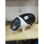 LARGE BLACK AND WHITE PIG