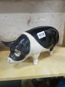 LARGE BLACK AND WHITE PIG