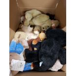 BOX OF SOFT TOYS